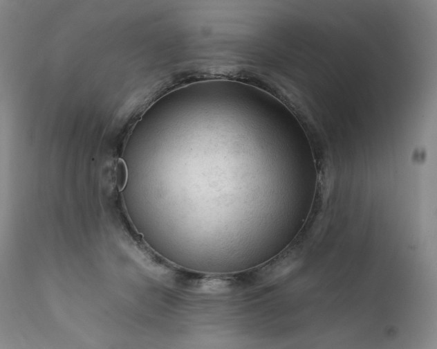 X0000112210462200908211522