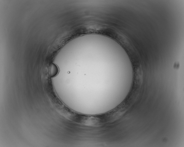 X0000112210463200908211522