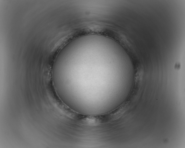 X0000112210464200908211522