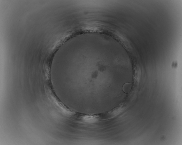 X0000112210465200908211522