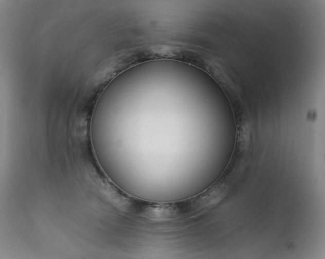 X0000112210466200908211522