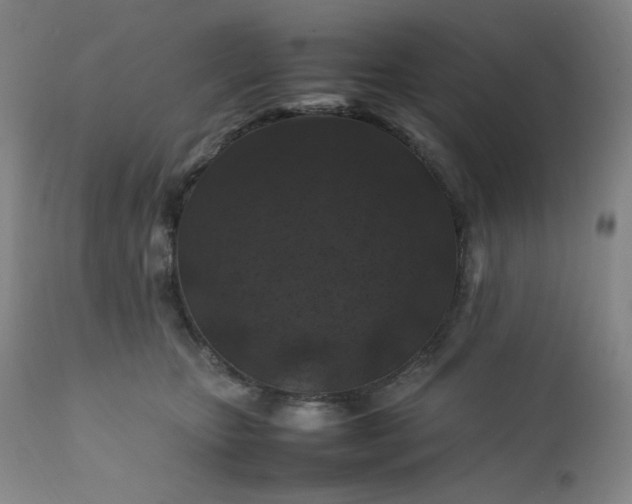 X0000112210467200908211522