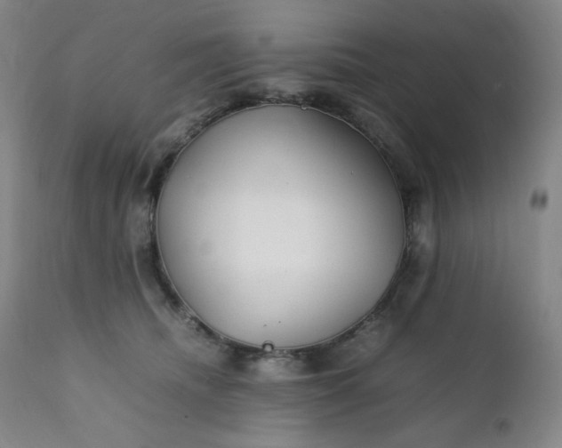 X0000112210468200908211522