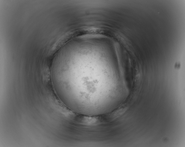 X0000112210469200908211522