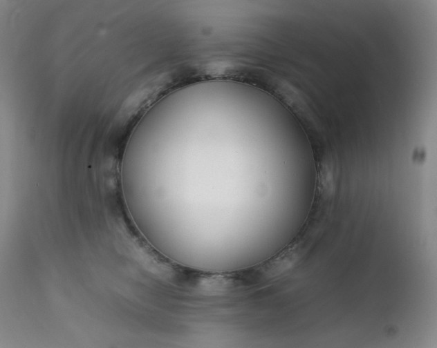 X0000112210470200908211523