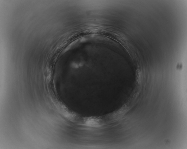 X0000112210471200908211523