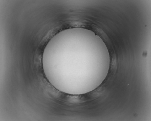 X0000112210473200908211523