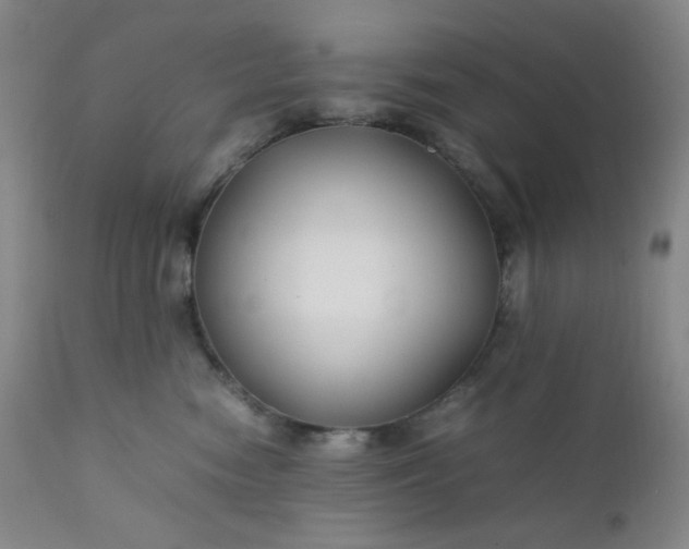 X0000112210474200908211523