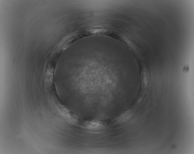 X0000112210475200908211523