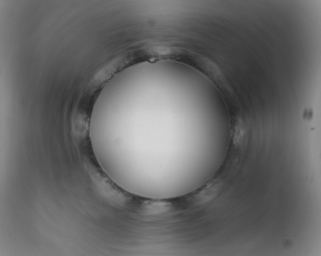 X0000112210476200908211523