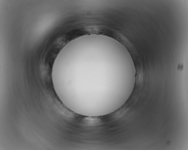 X0000112210477200908211523