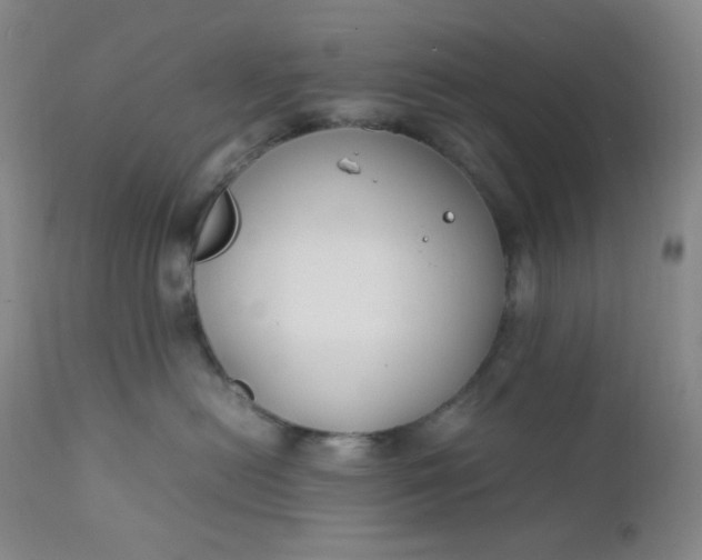 X0000112210478200908211523