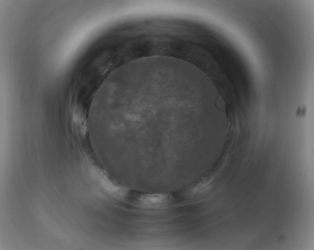 X0000112210479200908211523