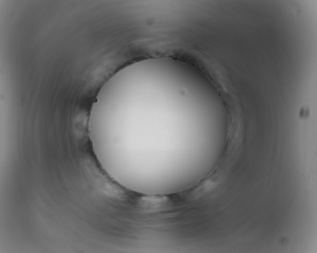 X0000112210480200908211523