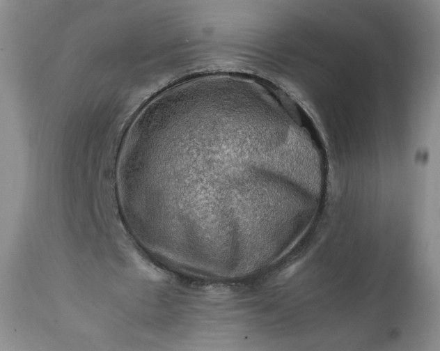 X0000112210481200908211522