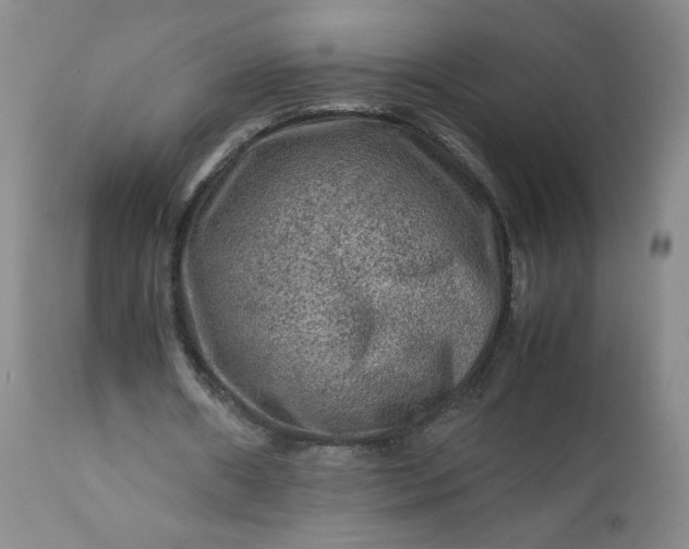 X0000112210482200908211522