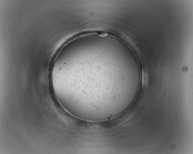 X0000112210483200908211522