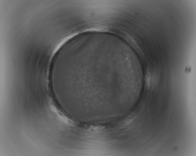 X0000112210484200908211522