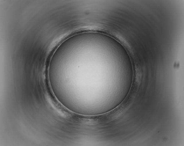 X0000112210486200908211522