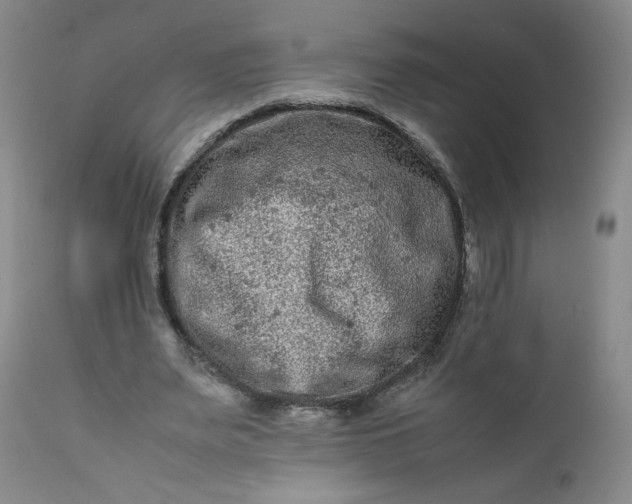 X0000112210487200908211522