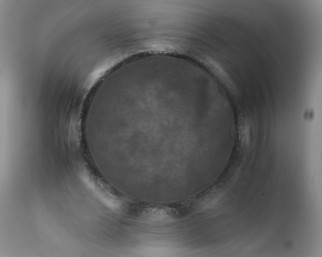 X0000112210488200908211522