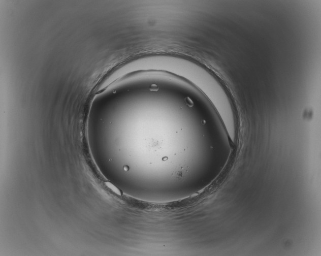 X0000112210489200908211522