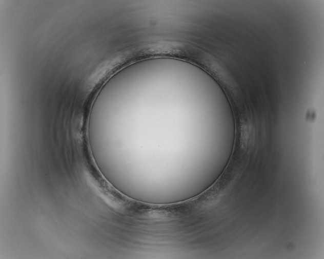 X0000112210490200908211522