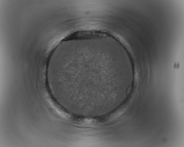 X0000112210493200908211522