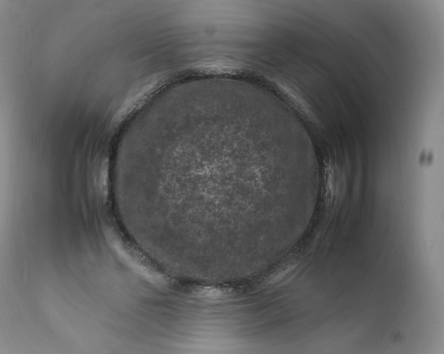 X0000112210494200908211522