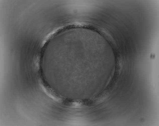 X0000112210496200908211522