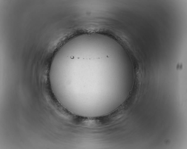 X0000112210499200908211522