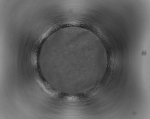 X0000112210500200908211522