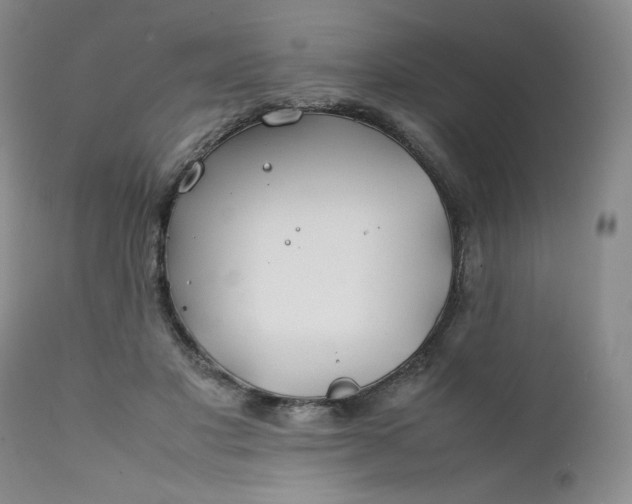 X0000112210501200908211522