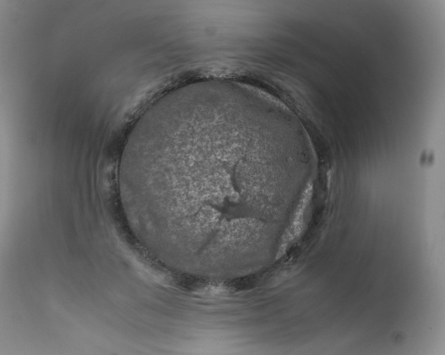 X0000112210503200908211522