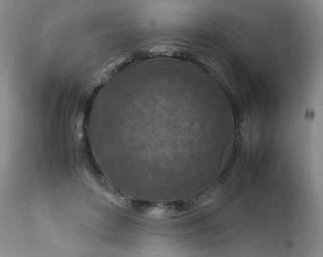 X0000112210504200908211522