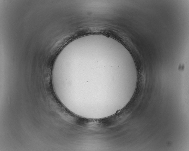 X0000112210505200908211522