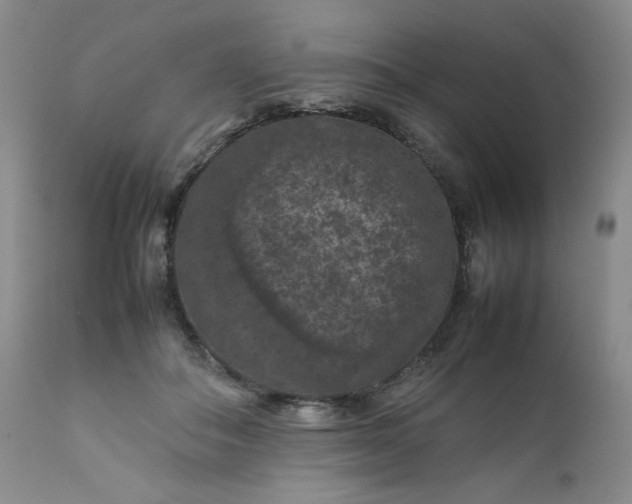 X0000112210506200908211522