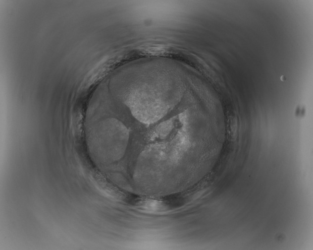 X0000112210507200908211522