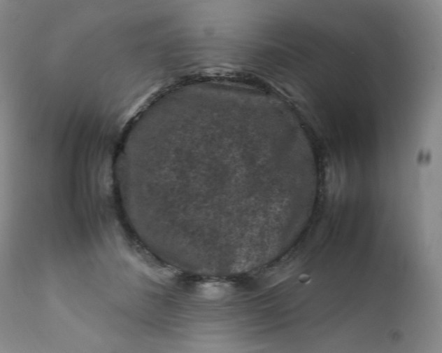 X0000112210508200908211522