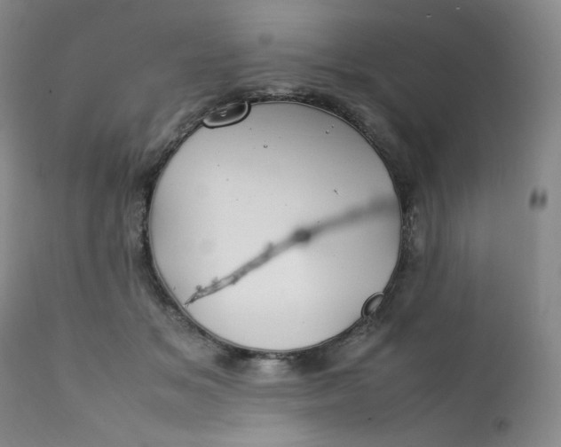 X0000112210509200908211521