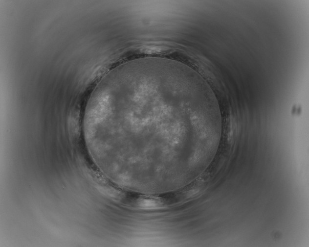 X0000112210510200908211521