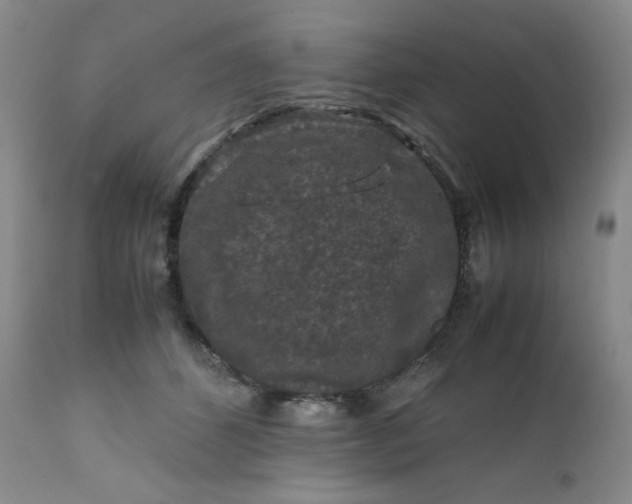 X0000112210512200908211521