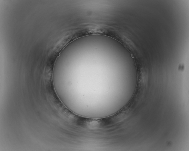 X0000112210513200908211521