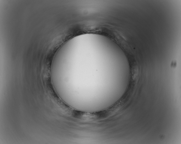 X0000112210515200908211521