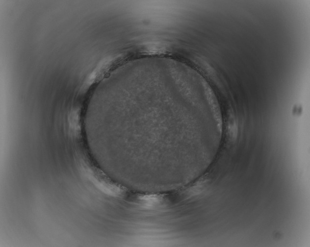 X0000112210516200908211521