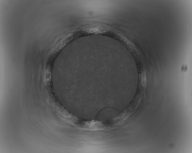 X0000112210517200908211521