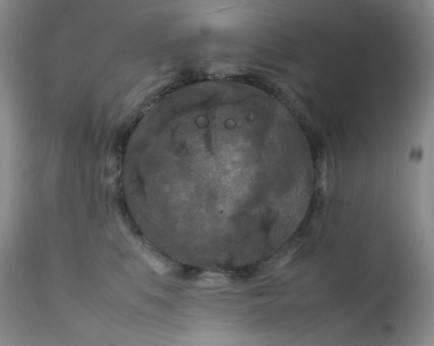 X0000112210519200908211521