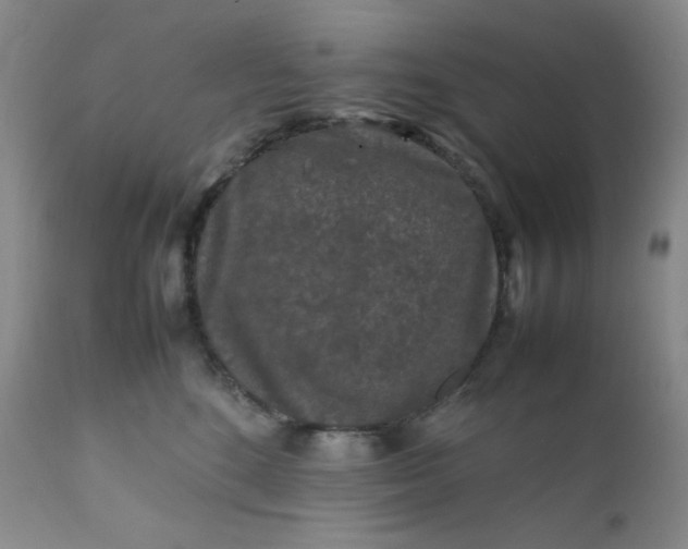 X0000112210520200908211521