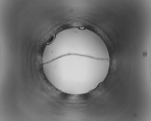 X0000112210521200908211521