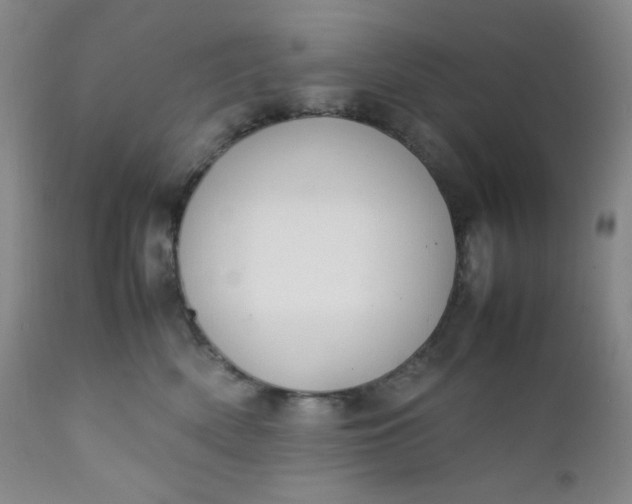 X0000112210522200908211521